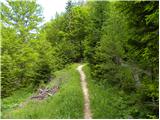 Erjavčev rovt - Planina Dovška Rožca